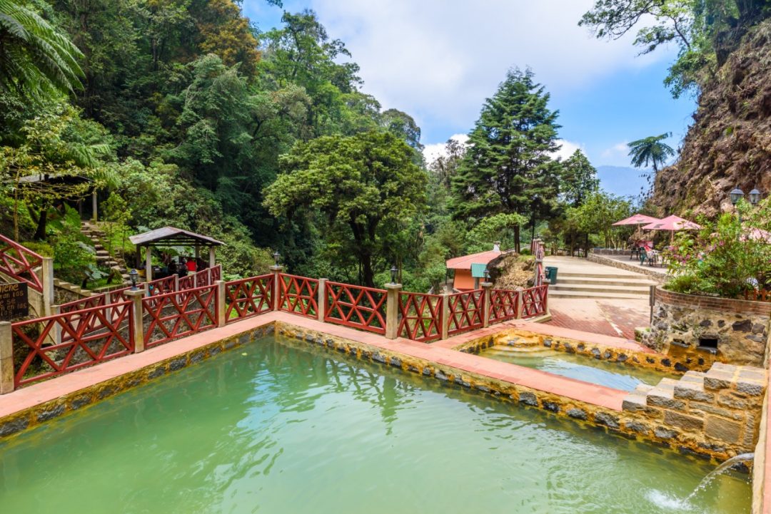 Bicentenario guatemala assist card