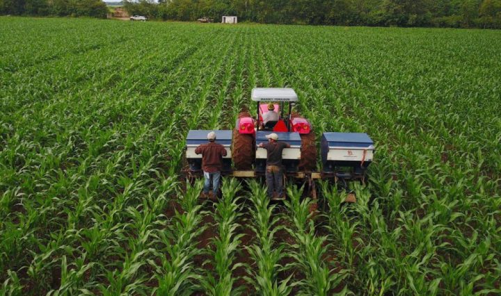 PepsiCo GT. Maiz PepsiCo positive