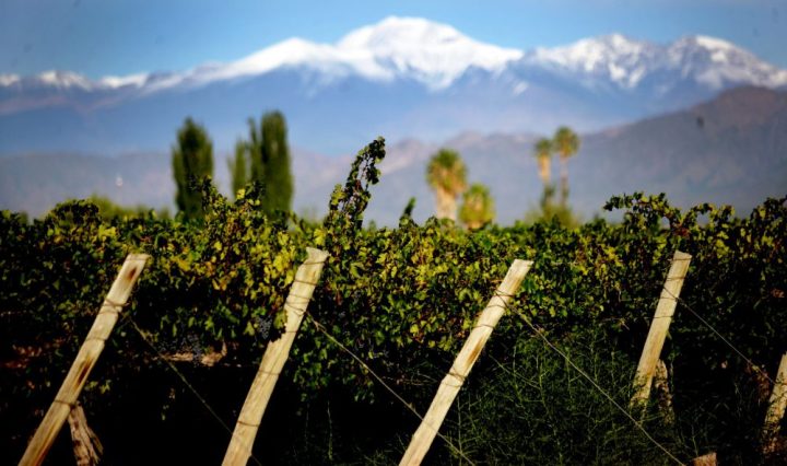 ALaMesa argentina google arts and culture