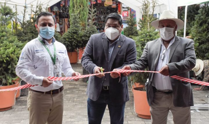 MasBosquesMasVida Inab