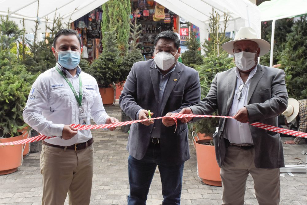 MasBosquesMasVida Inab