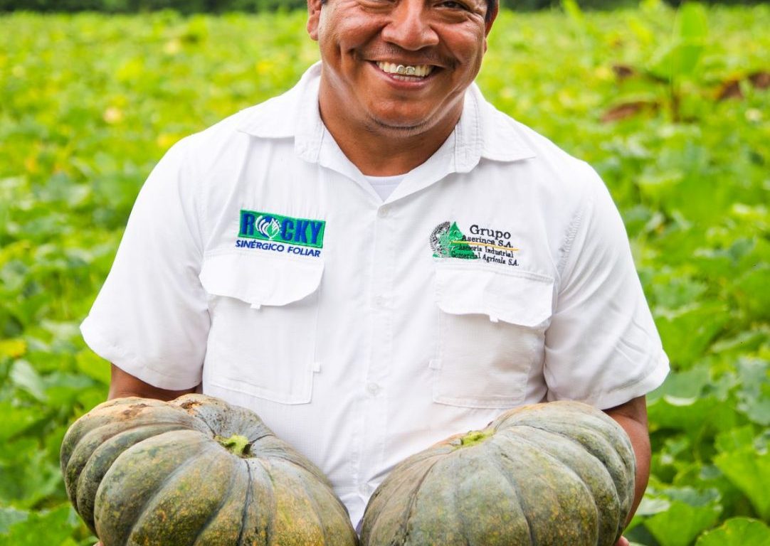 Grupo ASERINCA WALMART