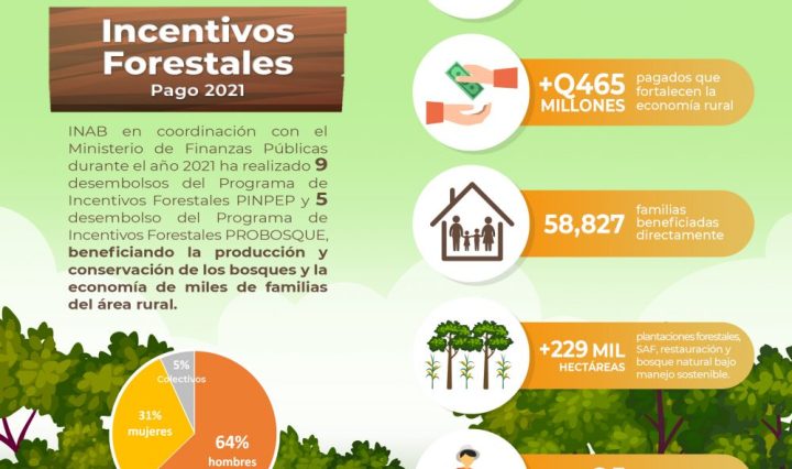 InfografiaINCENTIVOS2021 INAB