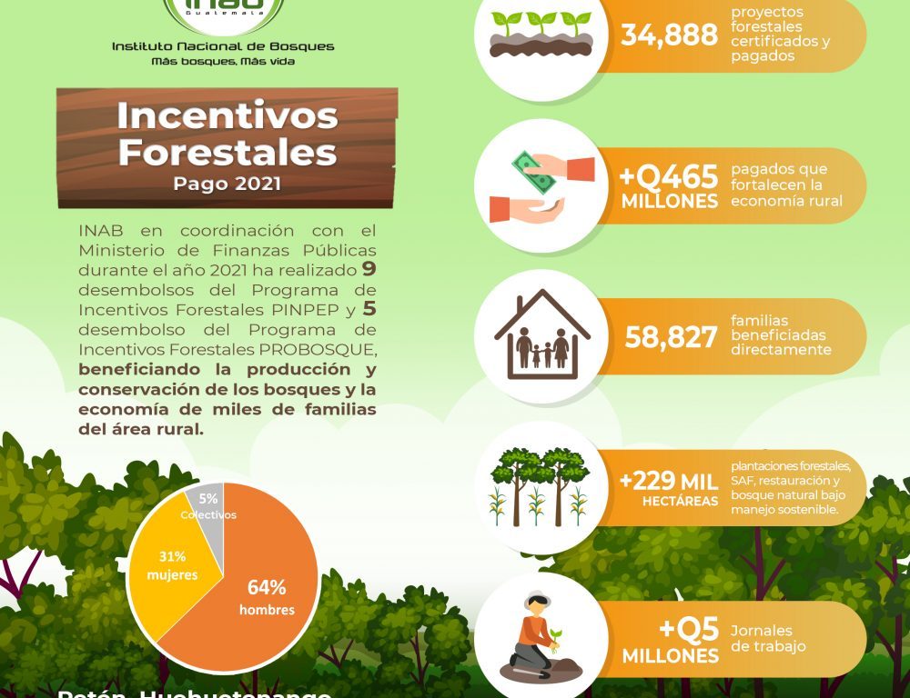 InfografiaINCENTIVOS2021 INAB
