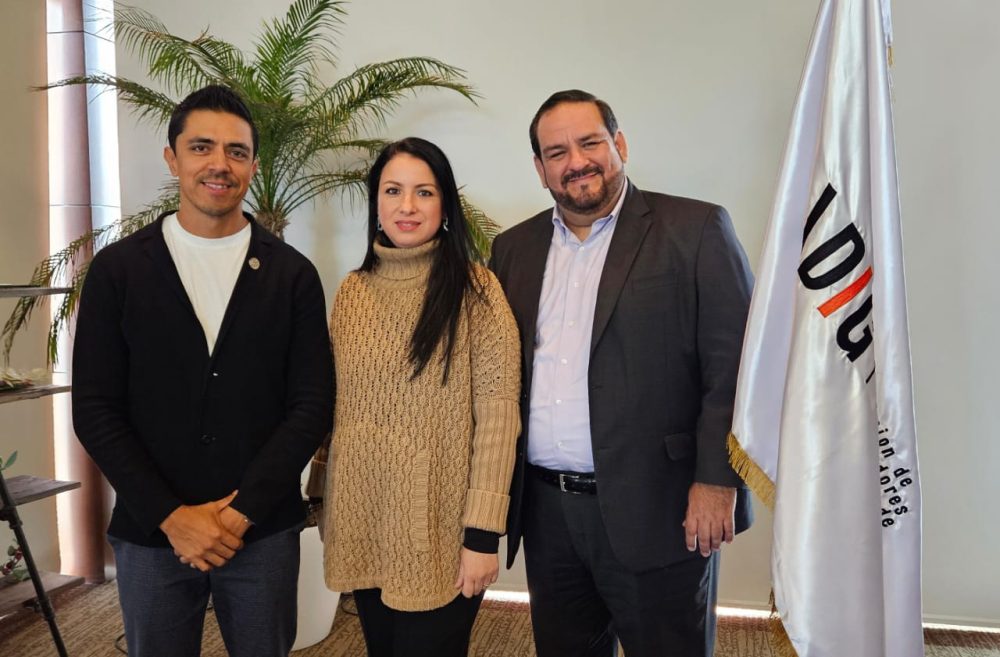 inmobiliaria ADIG perspectivas 2024