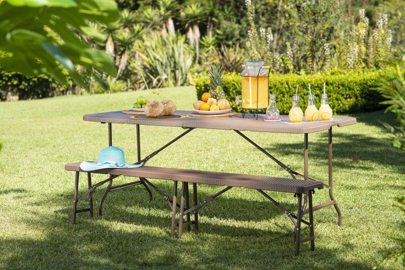 ¿Cuáles son tus planes para este verano 2024?