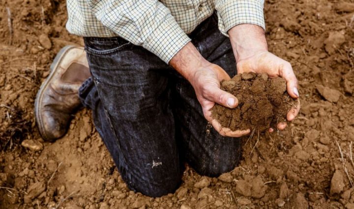Día de la tierra Syngenta