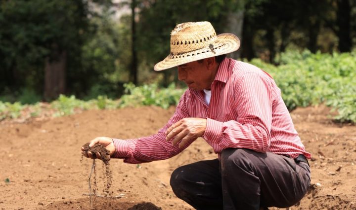 Foto cortesia-MAGA Cambio Climático