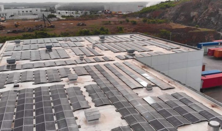 Día del medio ambiente 1