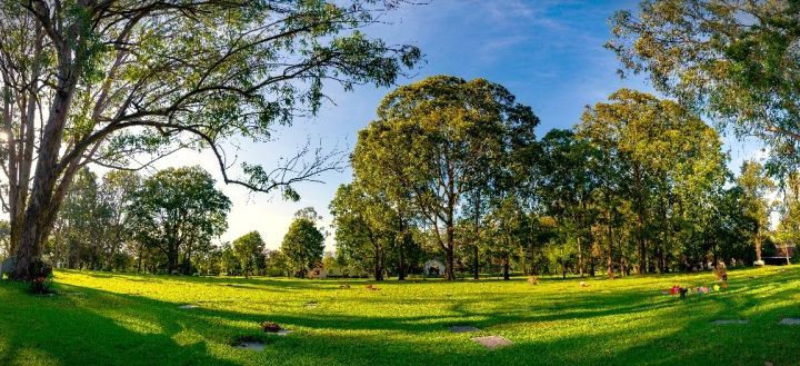 CÓMO HONRAR LA MEMORIA Y EL LEGADO DE UN PAPÁ QUE YA NO ESTÁ CON NOSOTROS