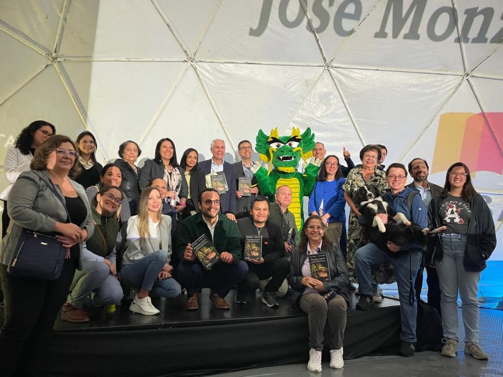 EditorialPiedrasanta filgua libro