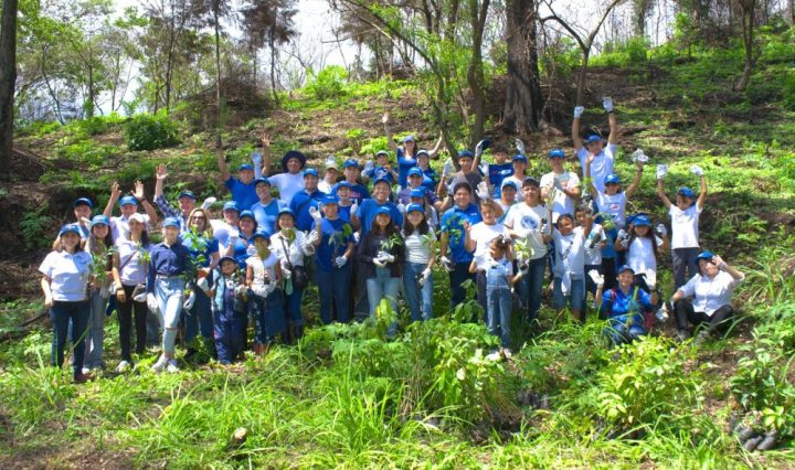 Voluntarios del BCIE en Guatemala contribuyen a recuperar cobertura boscosa en Parque Nacional Naciones Unidas