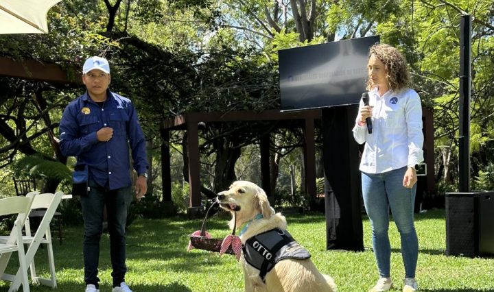 Apoyo Emocional equipo guau señoriales