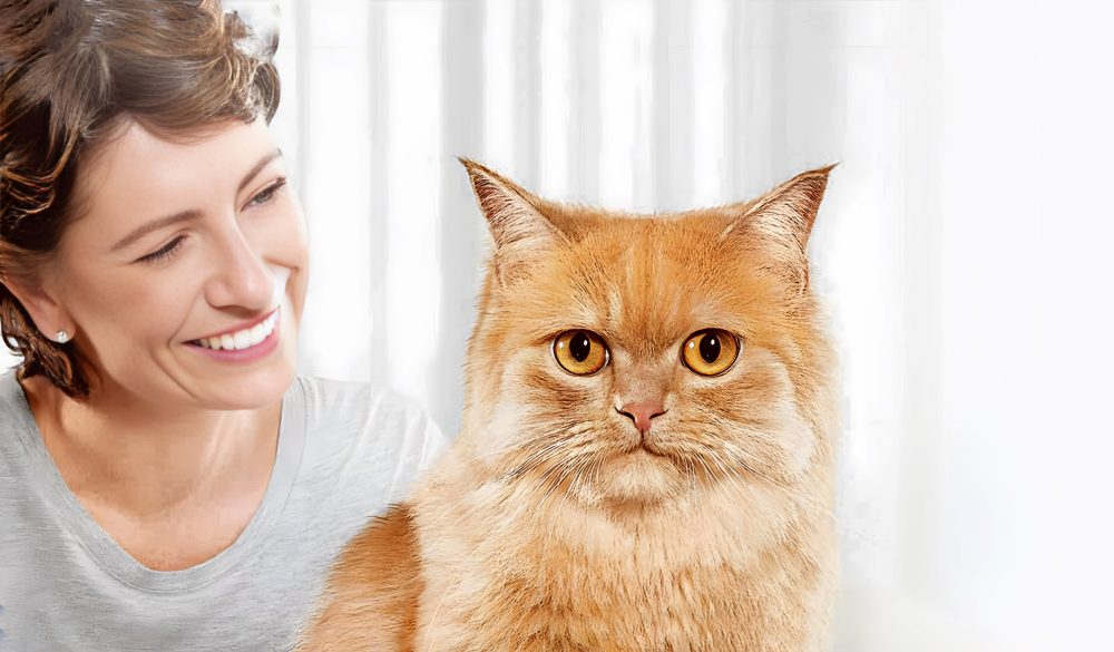 Articulo de interés Mes del Gato Nestlé