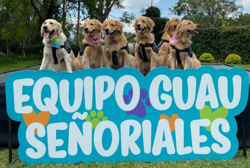 Equipo GUAU Señoriales: las estrellas caninas que dejan huella a en personas que necesitan apoyo emocional