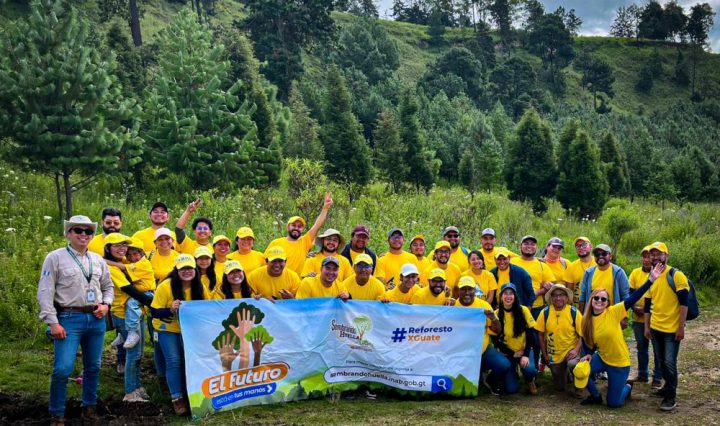 Reforestación Xela epa
