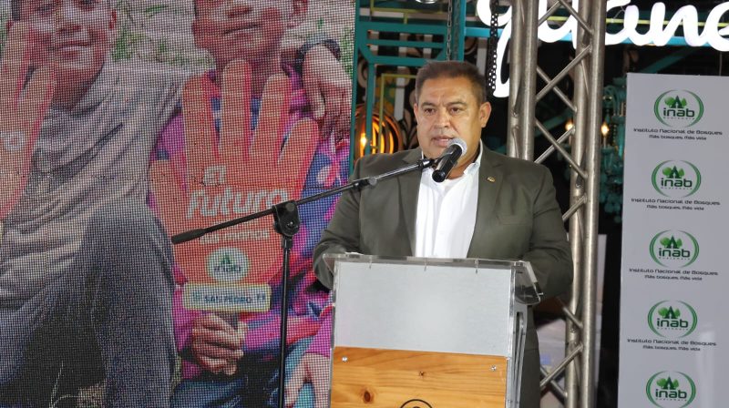 SEMBRANDO HUELLA ALCANZA UN RÉCORD HISTÓRICO: 80% MÁS ÁRBOLES EN 2024