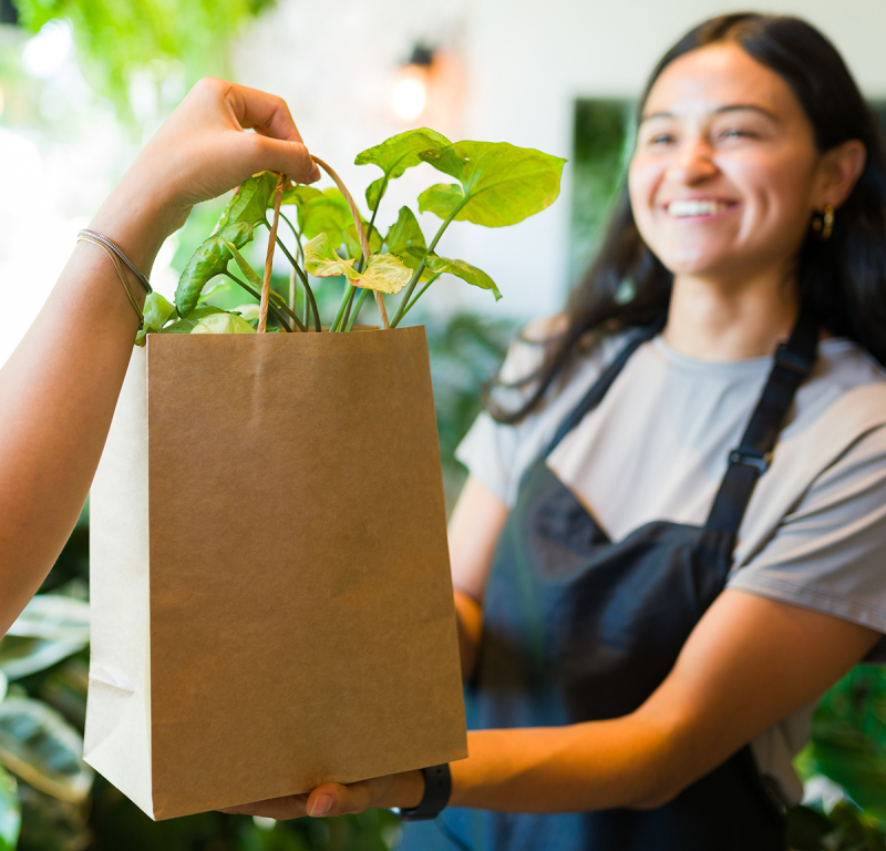 Emprender en Guatemala: Un recurso financiero en tiempos de desafíos