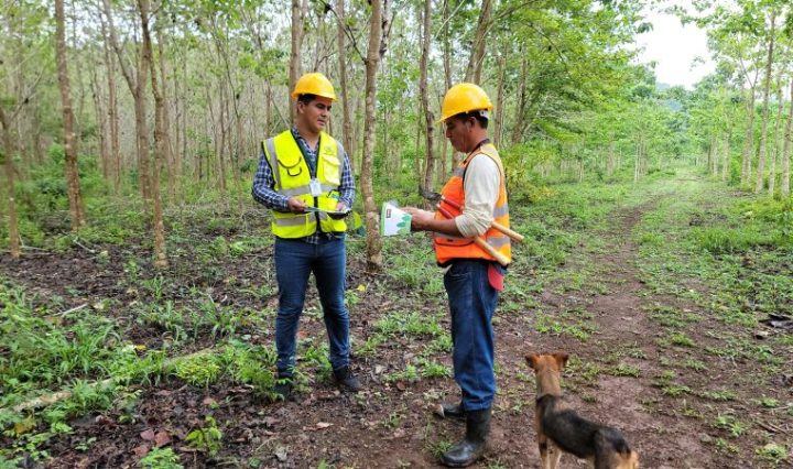 Octavo desembolso de incentivos forestales, inyecta más de 55 millones de quetzales a la economía local