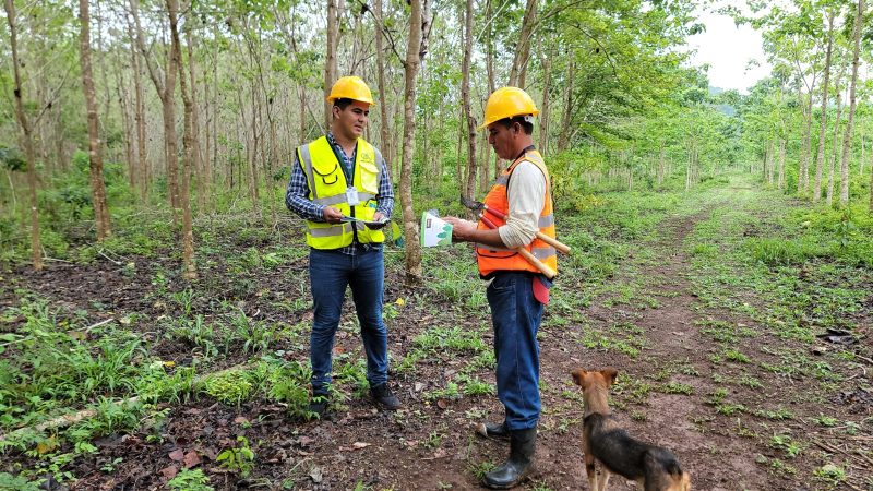 Octavo desembolso de incentivos forestales, inyecta más de 55 millones de quetzales a la economía local