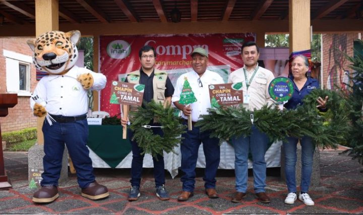 SE INAUGURAN FERIAS DEL PINABETE TEMPORADA NAVIDEÑA 2024