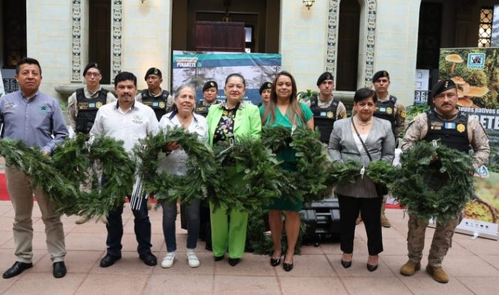 “Campaña Nacional de Control y Conservación del Pinabete, Temporada Navideña 2024”