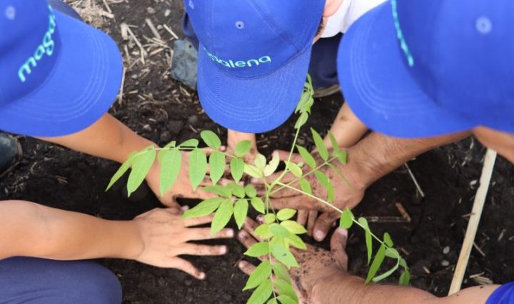 Innovación y compromiso hacia un futuro sostenible