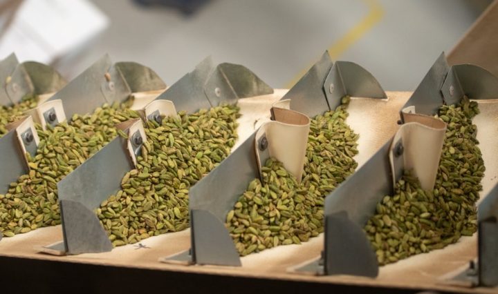 CardamomoGT CARDEX Salud