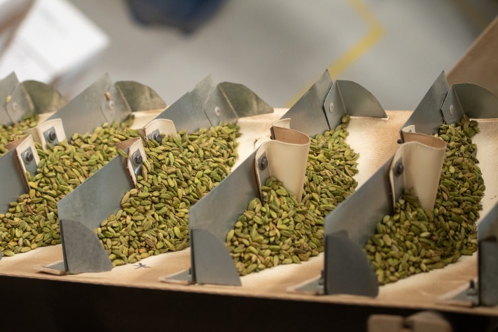 CardamomoGT CARDEX Salud