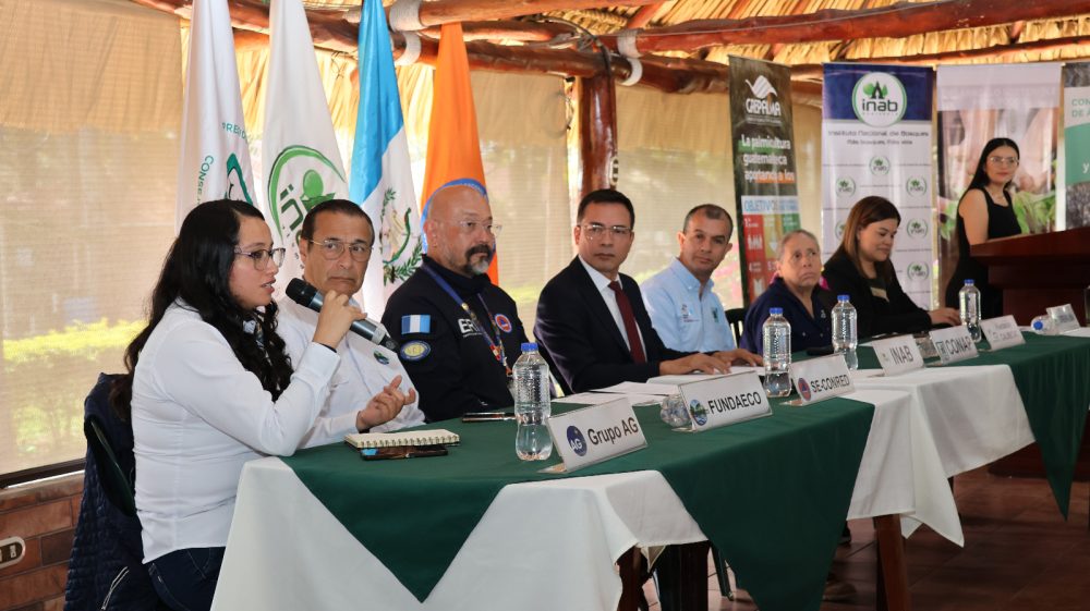 Superhéroes del bosque (inab)