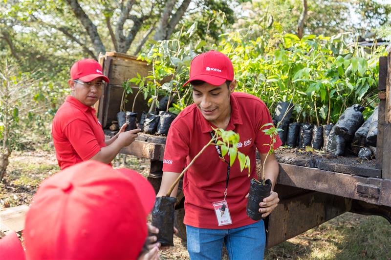 CP BAC CASO ESTUDIO ONU 140425