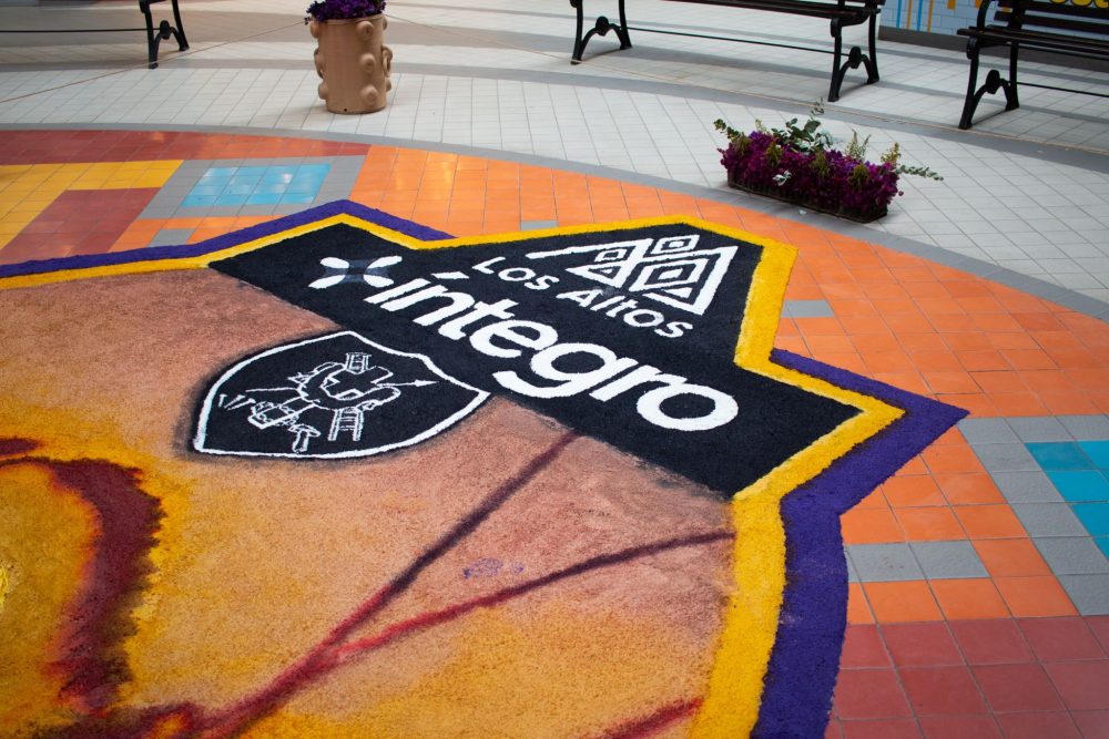 ÍNTEGRO ALFOMBRAS 3