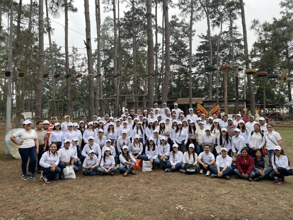 Pradera Reforestación CMI