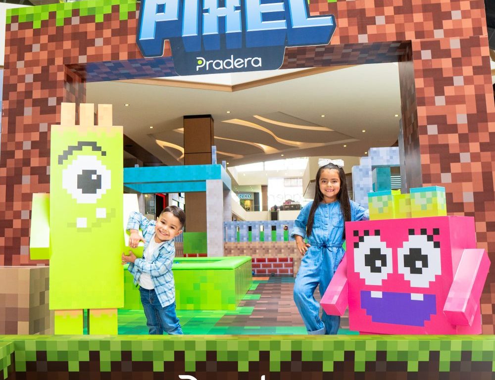 PraderaPixeles VISTARES