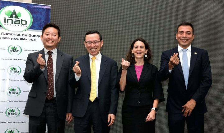 Resultados GGGI-INAB (4