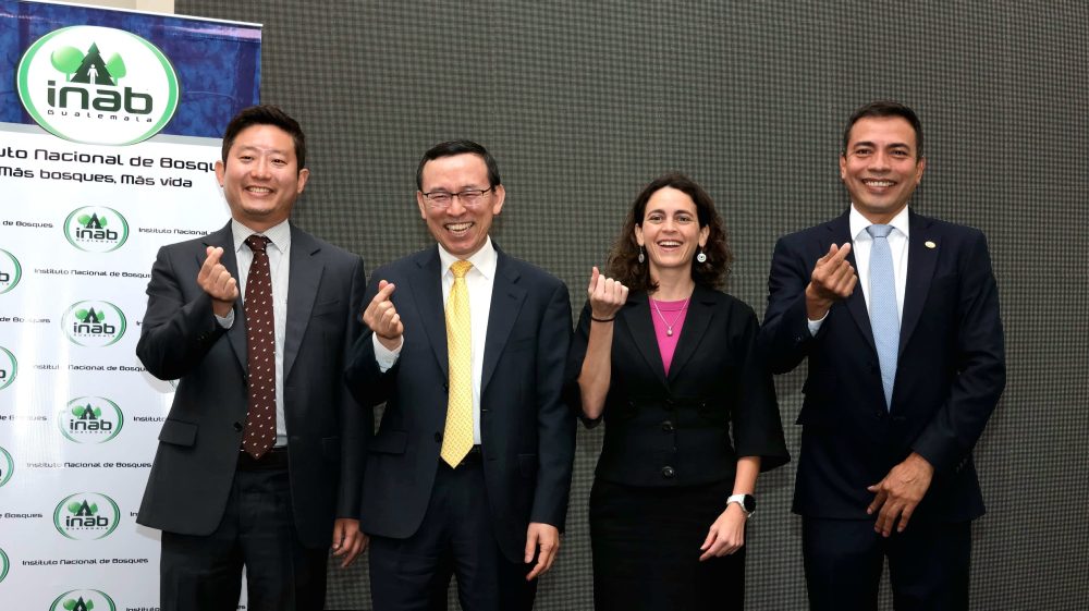 Resultados GGGI-INAB (4