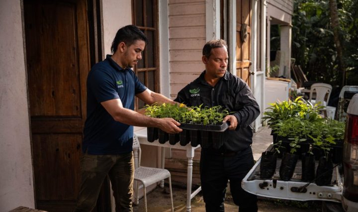 Donativos Ambientales Ford (1)