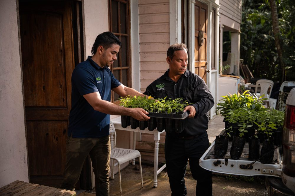 Donativos Ambientales Ford (1)