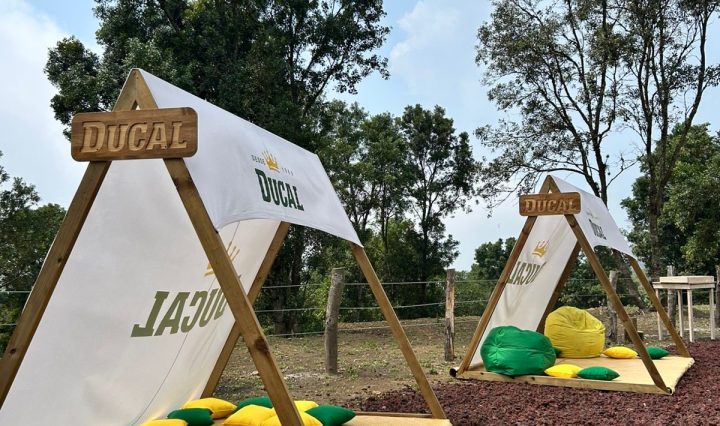 Ducal en la cima (2)