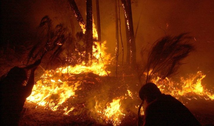 Lanzan diplomado en Arquitectura y Ciencias de la Tierra