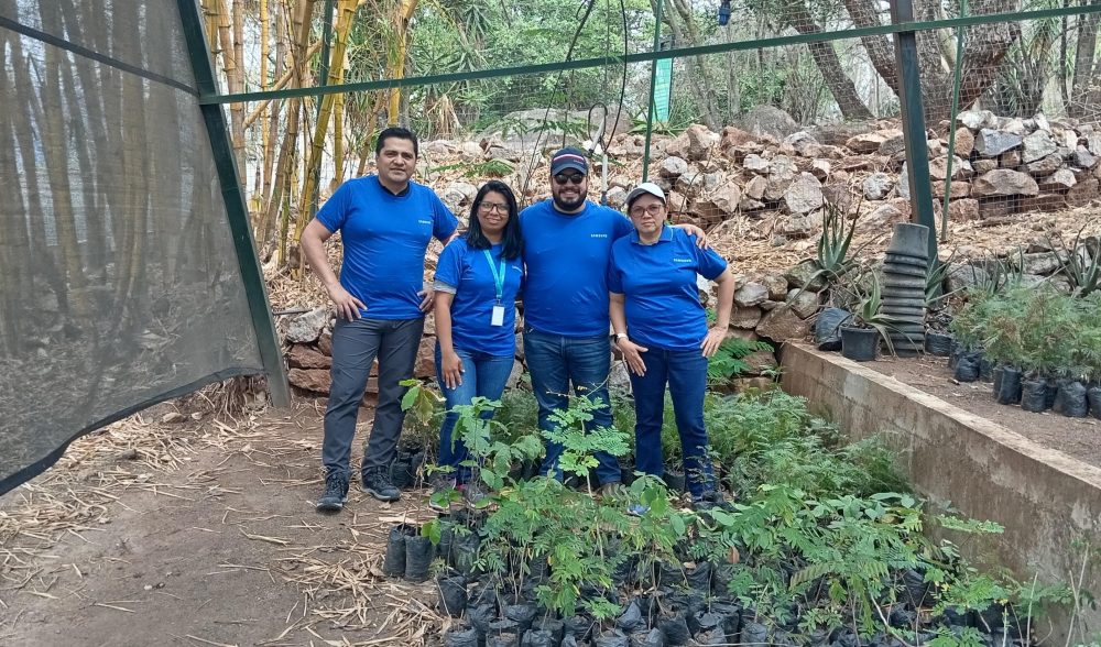 Voluntariado Back to Earth_ samsung