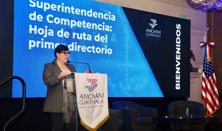 AmChamCP_Superintendencia de Competencia (2)