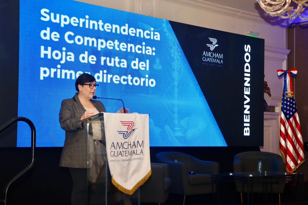 AmChamCP_Superintendencia de Competencia (2)