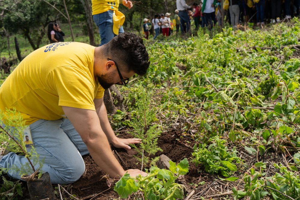 EPA - Día Mundia del Medio Ambiente (7)