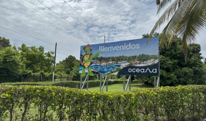 Oceana tortugas marinas