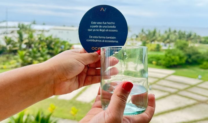 artículo Oceana y Gronn