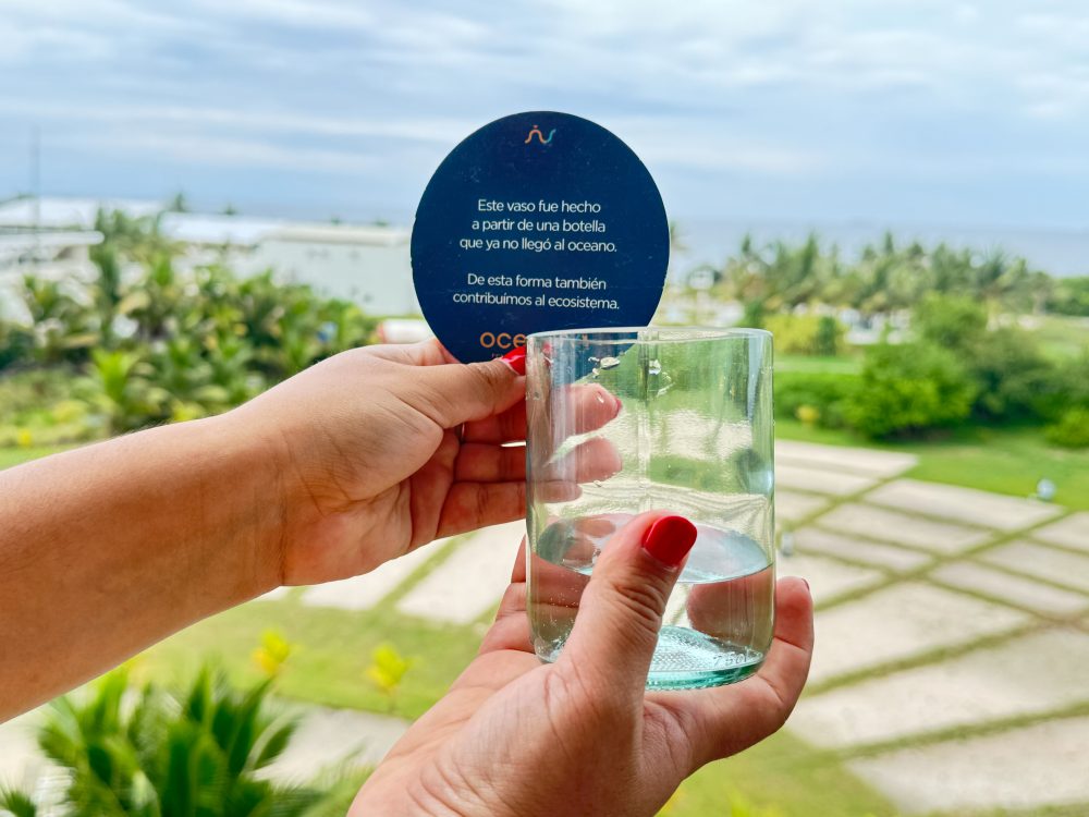 artículo Oceana y Gronn