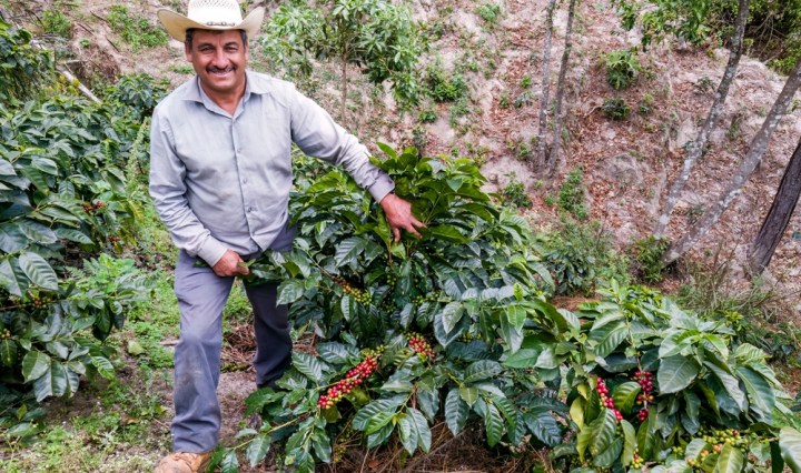 BCIE activa en Guatemala el Programa CAMBio II con primer desembolso climático por 400 mil dólares