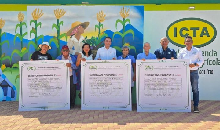 Cta.Sur PROBOSQUE INAB