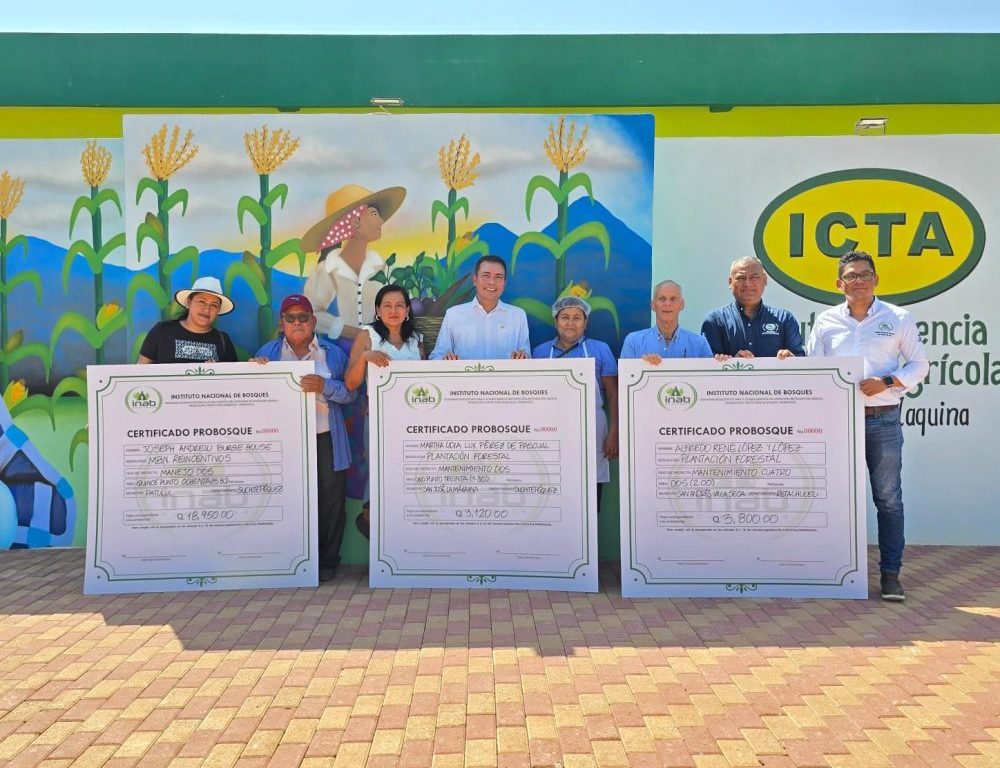 Cta.Sur PROBOSQUE INAB